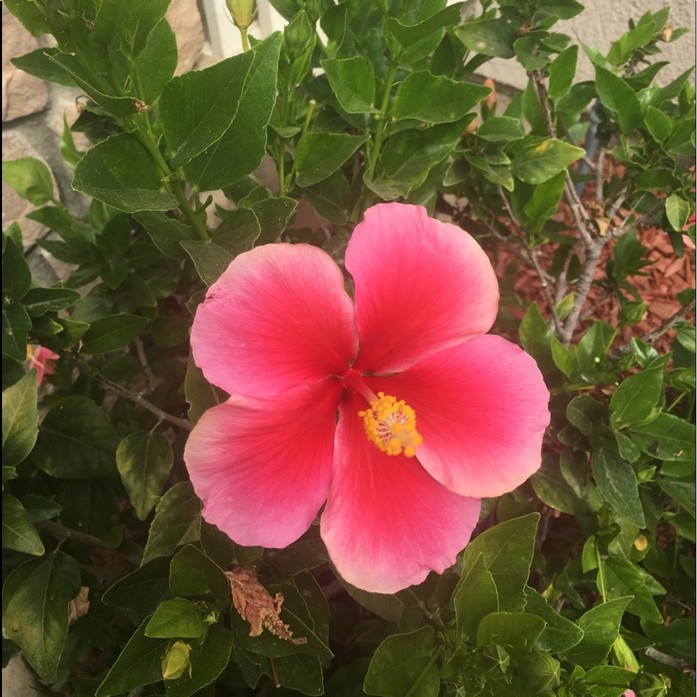 Meet your Posher, Martha